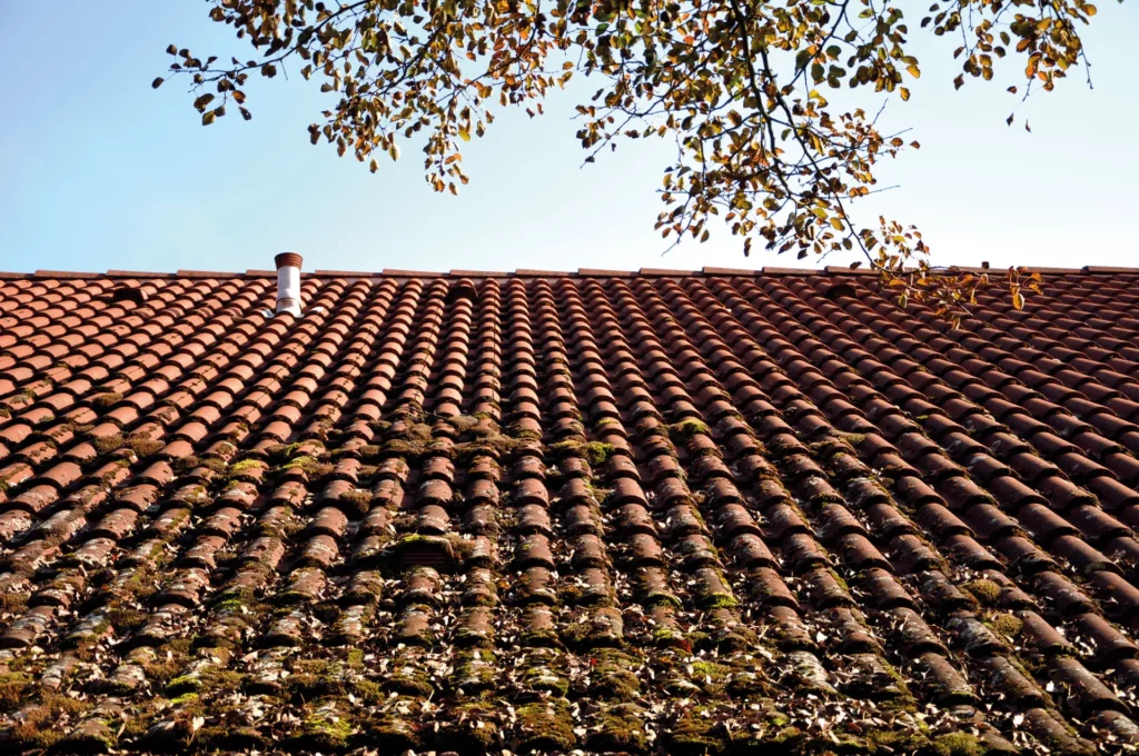 Photo d'une Toiture tuile rouge remplie de mousse avant traitement hydrofuge