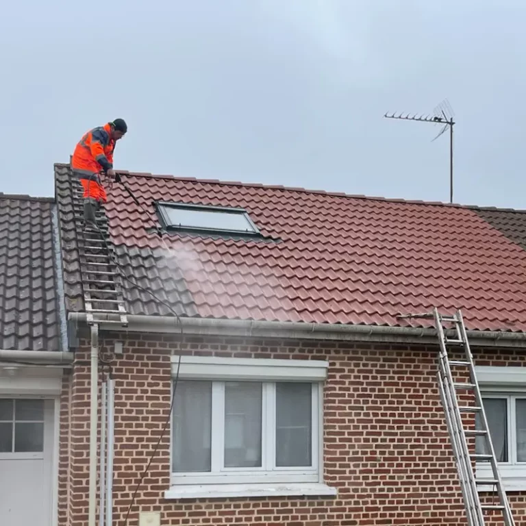 Nettoyage de toiture tuile en court de finition