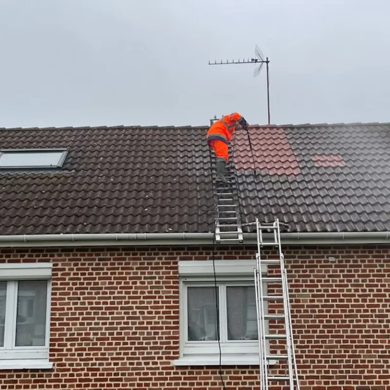 Nettoyage de toiture tuile en court