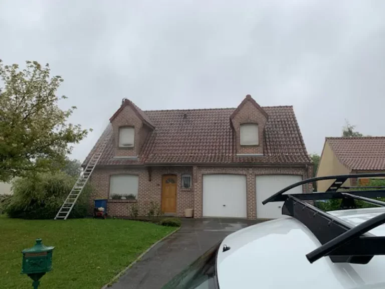 Photo nos réalisations : d'une toiture tuile avant nettoyage